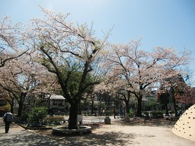 🌳 료고쿠 공원(Ryōgoku Park)
